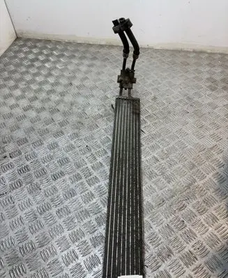 Volkswagen Touareg II Radiator support slam panel 7P0317019 S7790002 450490