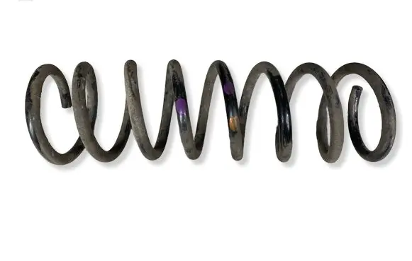 Ford C-MAX II Rear coil spring 