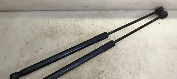 Tailgate/trunk strut/damper