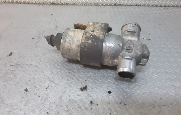 BMW X5 E53 Idle control valve (regulator) 