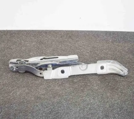 Tailgate/trunk/boot hinge