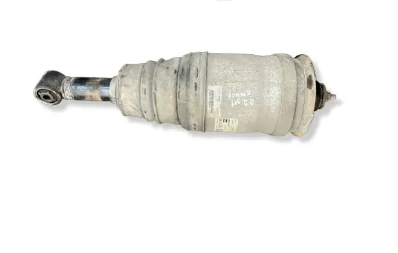 Land Rover Range Rover Sport L320 Rear shock absorber/damper LR016418