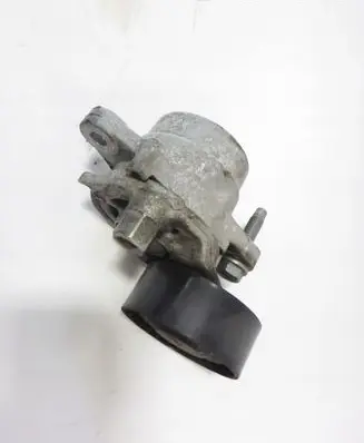 Citroen C3 Timing belt tensioner 9826265880