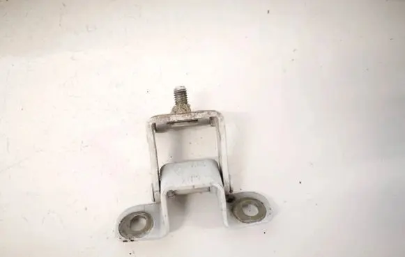Dacia Sandero Tailgate/trunk/boot hinge 844002579r