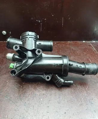 Thermostat/thermostat housing