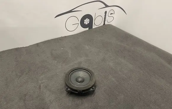 BMW X3 G01 Panel speaker 6513689629