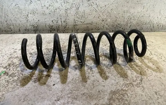 Renault Scenic I Rear coil spring