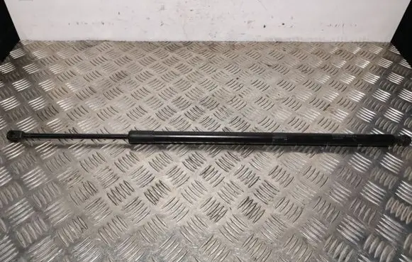 Tailgate/trunk strut/damper
