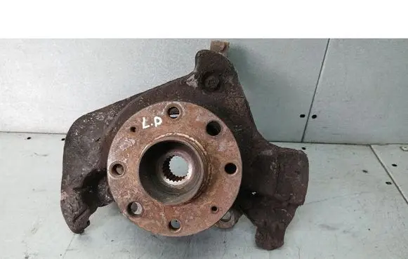 Fiat Punto (199) Front wheel hub spindle knuckle