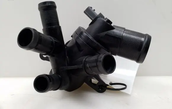 Nissan Juke I F15 Thermostat 110617089R