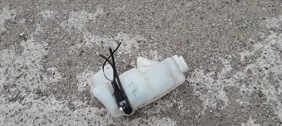 Renault Laguna III Windshield washer fluid reservoir/tank 289100001N