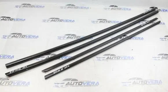 BMW 6 E63 E64 Front door glass trim molding 