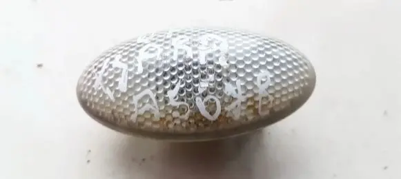 Citroen Xsara Picasso Front fender indicator light