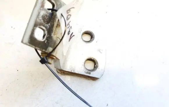 BMW X3 E83 Rear door lower hinge