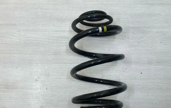 Renault Trafic III (X82) Rear coil spring 550202870R