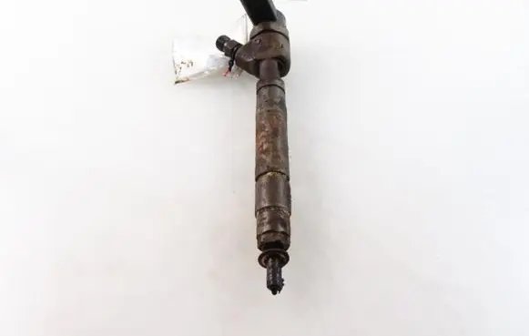 Mercedes-Benz S W220 Fuel injector A6280700587 0445110208