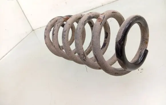 Rear coil spring