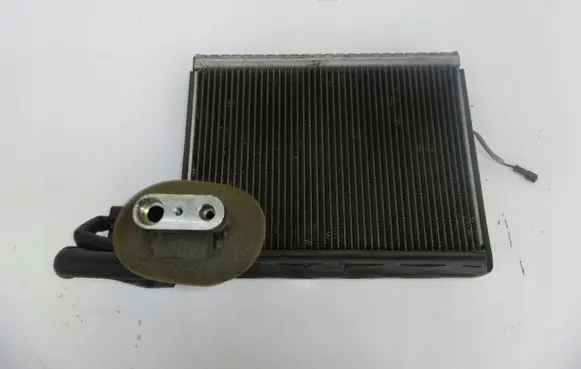 Land Rover Range Rover Sport L320 Air conditioning (A/C) radiator (interior) 