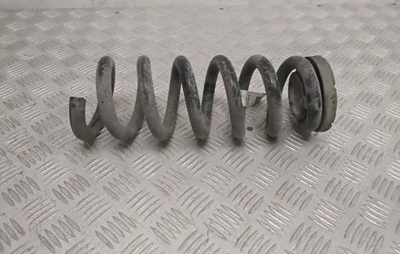 Ford Mach-E I Rear coil spring LJ9C5560ANE