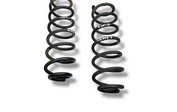 Rear coil spring
