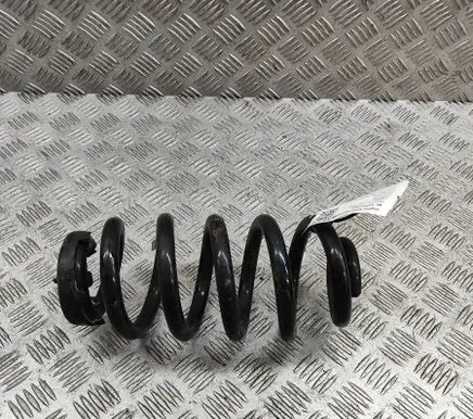 Rear coil spring