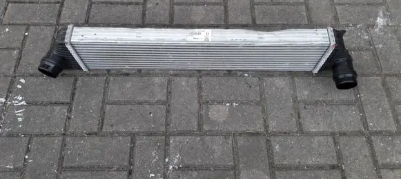 Renault Master III Intercooler radiator 144969388R