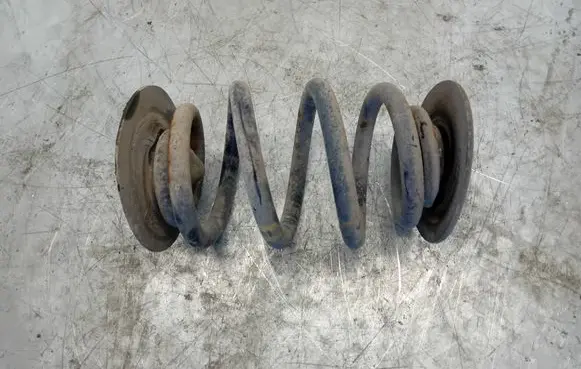 Rear coil spring