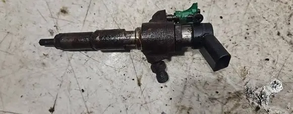 Ford Mondeo MK IV Fuel injector 50274V05 9802448680
