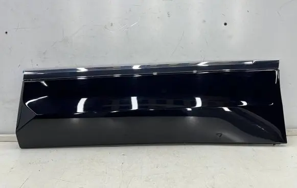 Volkswagen Tiguan Allspace Rear door trim (molding) 5NN854949C 5NN854949D