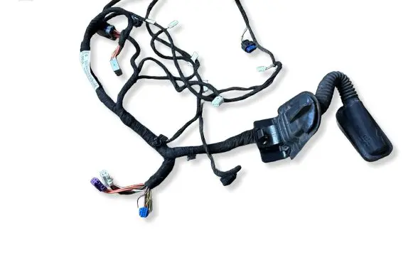 Dodge Charger Rear door wiring loom 16238DC