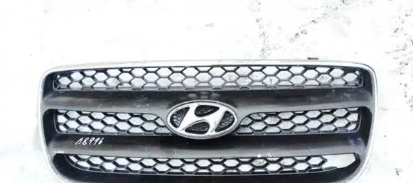 Hyundai Santa Fe Front grill 865612B000 86561-2B000