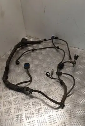Renault Latitude (L70) Other wiring loom