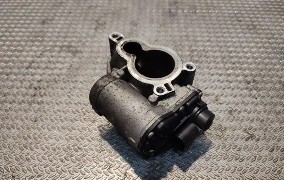 Renault Trafic II (X83) EGR valve 8200797706