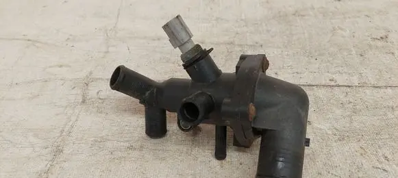 Thermostat/thermostat housing