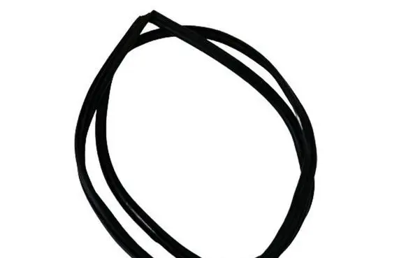 Toyota Corolla E210 E21 Rear door rubber seal (on body) 