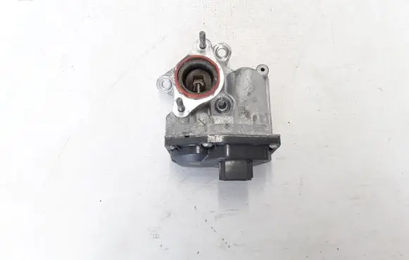 Renault Megane III EGR valve