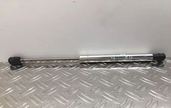 Tailgate strut