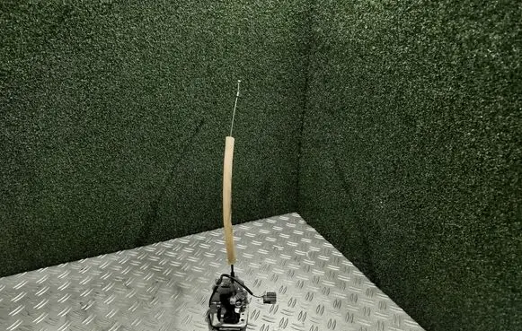 Rear door lock