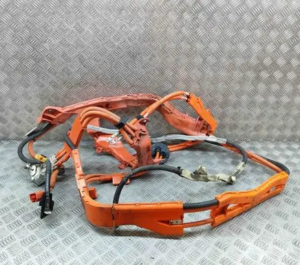 Lexus GS 250 350 300H 450H Other wiring loom 8216430190