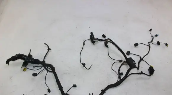 BMW 1 F40 Other wiring loom 6941424 9323805