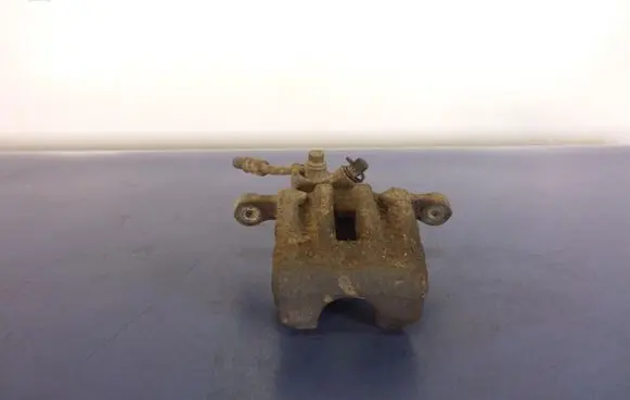 Chevrolet Captiva Rear brake caliper