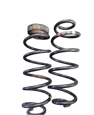 Rear coil spring