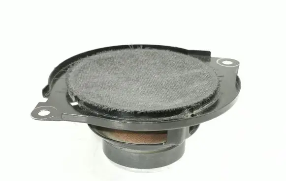 Panel speaker