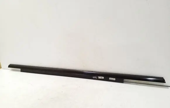 Rear door glass trim molding