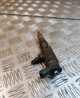 Peugeot 207 Fuel injector 565889 0445110252