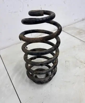 Rear coil spring
