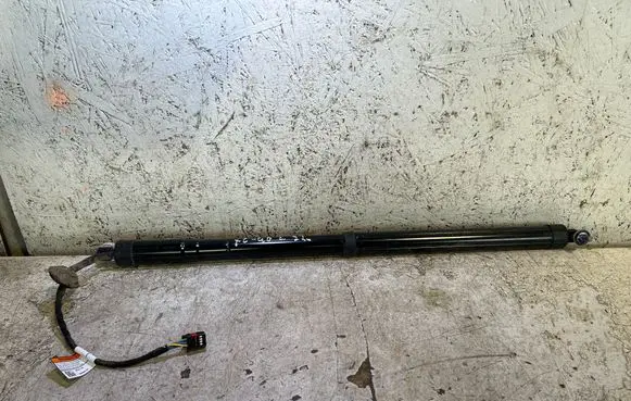 Tailgate strut