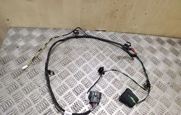 Tesla Model S Other wiring loom 102495602C