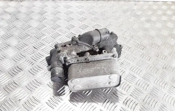 Renault Laguna III Gearbox / Transmission oil cooler 