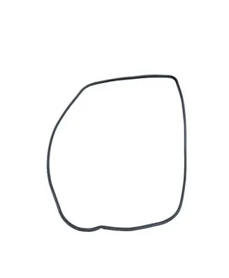 Toyota Sequoia (XK60) Rear door rubber seal (on body) 623320C050